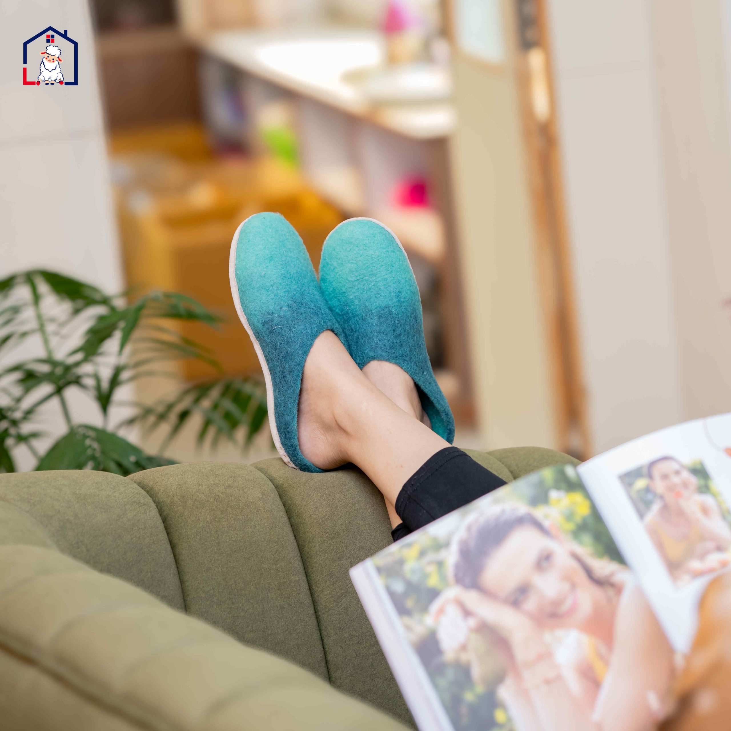 Gradient Felt Wool Slippers