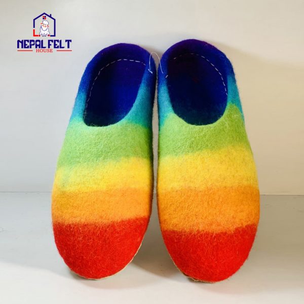 Rainbow Felt Wool Slippers